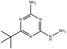 2-AMINO-4-TERT-BUTYL-6-HYDRAZINO-S-TRIAZINE Struktur