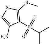 3-AMINO-4-(ISOPROPYLSULFONYL)-5-(METHYLTHIO)THIOPHENE Struktur