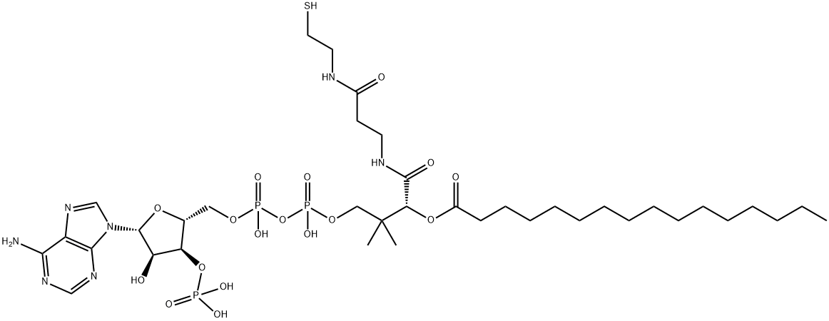 PALMITOYL COENZYME A POTASSIUM SALT Struktur