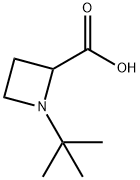 1-TERT-BUTYL-2-AZETIDINECARBOXYLIC ACID Struktur