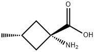 Cyclobutanecarboxylic acid, 1-amino-3-methyl-, trans- (9CI) Struktur