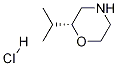 (R)-2-isopropylmorpholine hydrochloride Struktur