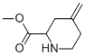 2-Piperidinecarboxylicacid,4-methylene-,methylester(9CI) Struktur