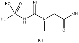 PHOSPHOCREATINE DIPOTASSIUM 結構式