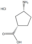 CIS-3-アミノシクロペンタン-1-カルボン酸塩酸塩 price.