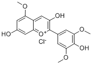 CAPENSINIDIN CHLORIDE(NEW)(SH) Struktur