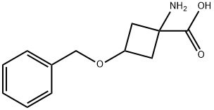 1-AMINO-3-BENZYLOXYCYCLOBUTANE-1-CARBOXYLIC ACID Struktur