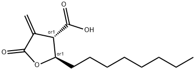 C75 Struktur