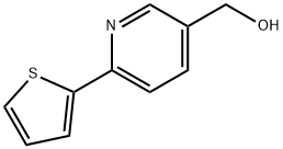 (6-THIEN-2-YLPYRID-3-YL)???