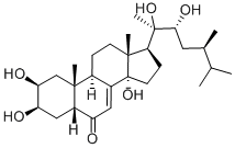 MAKISTERONE A Struktur