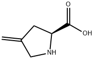 4-methyleneproline Struktur