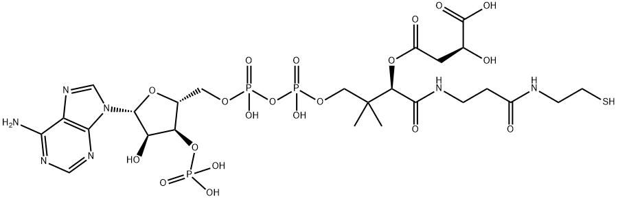 4-[2-[3-[4-[[[5-(6-aminopurin-9-yl)-4-hydroxy-3-phosphonooxy-oxolan-2-yl]methoxy-hydroxy-phosphoryl]oxy-hydroxy-phosphoryl]oxy-2-hydroxy-3,3-dimethyl-butanoyl]aminopropanoylamino]ethylsulfanyl]-2-hydroxy-4-oxo-butanoic acid Struktur