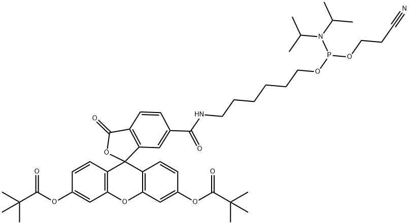 5'(6)-FAM Struktur