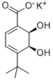 (2R,3S)-1-CARBOXY-4-TERT-BUTYL-2,3-DIHYDROXYCYCLOHEXA-4,6-DIENE, POTASSIUM SALT Struktur