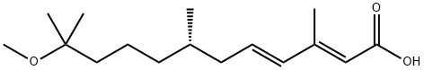 (2E,4E)-11-methoxy-3,7,11-trimethyl-dodeca-2,4-dienoic acid Struktur