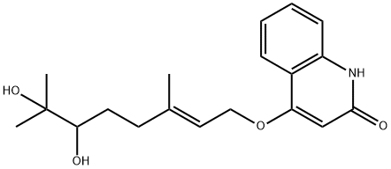 Bucharaine Struktur