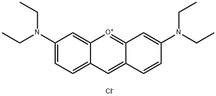 CI 45010 Struktur