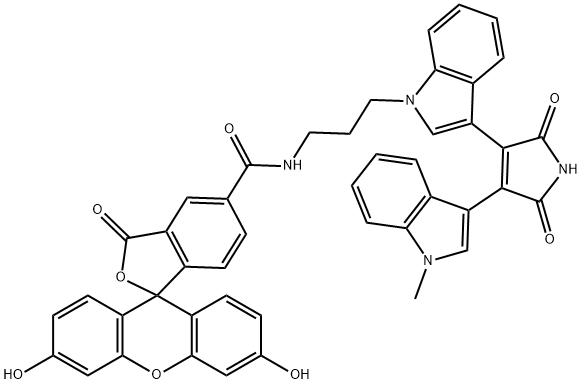 FIM-1 Struktur