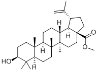 BETULINIC ACID METHYL ESTER price.