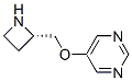 Pyrimidine, 5-[(2S)-2-azetidinylmethoxy]- (9CI) Struktur