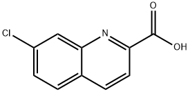 7-Chloro-2-quinolinecarboxylic acid Struktur