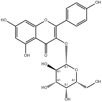 2-(4-ヒドロキシフェニル)-3-(β-D-ガラクトピラノシルオキシ)-5,7-ジヒドロキシ-4H-1-ベンゾピラン-4-オン