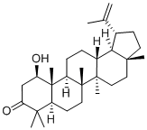 1β-Hydroxylup-20(29)-en-3-one Struktur