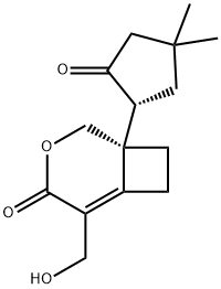 (S)-1-[(R)-4,4-Dimethyl-2-oxocyclopentyl]-5-hydroxymethyl-3-oxabicyclo[4.2.0]oct-5-en-4-one Struktur