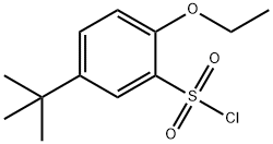 5-TERT-BUTYL-2-ETHOXYBENZENE-1-SULFONYL CHLORIDE Struktur