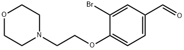 3-BroMo-4-(2-Morpholinoethoxy)benzaldehyde Struktur