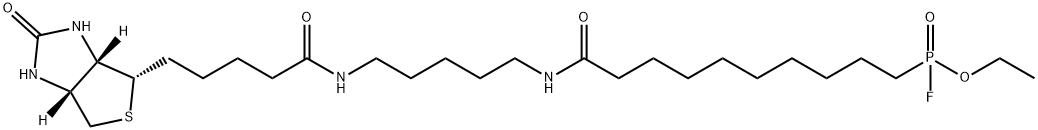 FP-Biotin Struktur