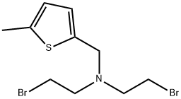 2-Thiophenemethanamine, N,N-bis(2-bromoethyl)-5-methyl- Struktur