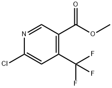 261635-79-4 結(jié)構(gòu)式