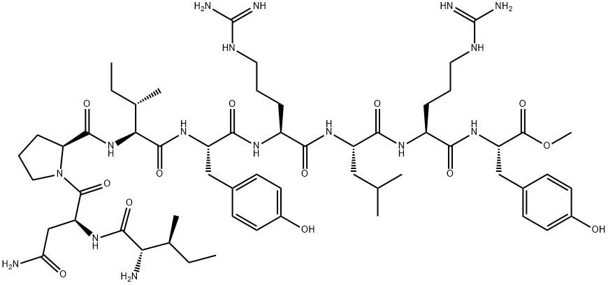 BVD 10 Struktur