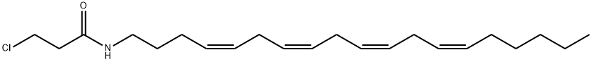 ACEA Struktur