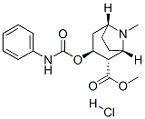 methyl (1S,2S,3S,5R)-8-methyl-3-(phenylcarbamoyloxy)-8-azabicyclo[3.2. 1]octane-2-carboxylate hydrochloride Struktur