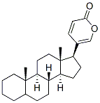 bufadienolide Struktur