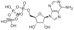 [gamma-32P]-ATP Struktur