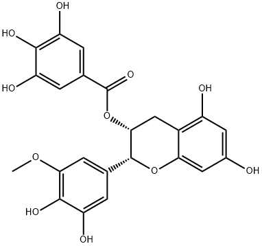 (-)-EGCG-3'-O-ME Struktur