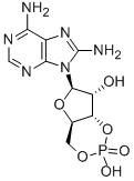 8-AMINOADENOSINE 3':5'-CYCLICMONOPHOSPHA TE FREE AC Struktur