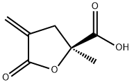 2-Furancarboxylicacid,tetrahydro-2-methyl-4-methylene-5-oxo-,(2S)-(9CI) Struktur