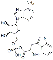 tryptophyl adenylate Struktur