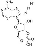 8-AZIDOADENOSINE 3':5'-CYCLIC MONOPHOSPHATE Struktur