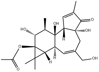 PHORBOL 13-ACETATE