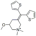 timepidium Struktur