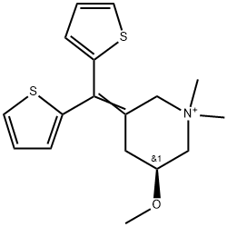 timepidium Struktur