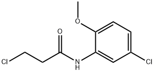 3-CHLORO-N-(5-CHLORO-2-METHOXYPHENYL)PROPANAMIDE price.