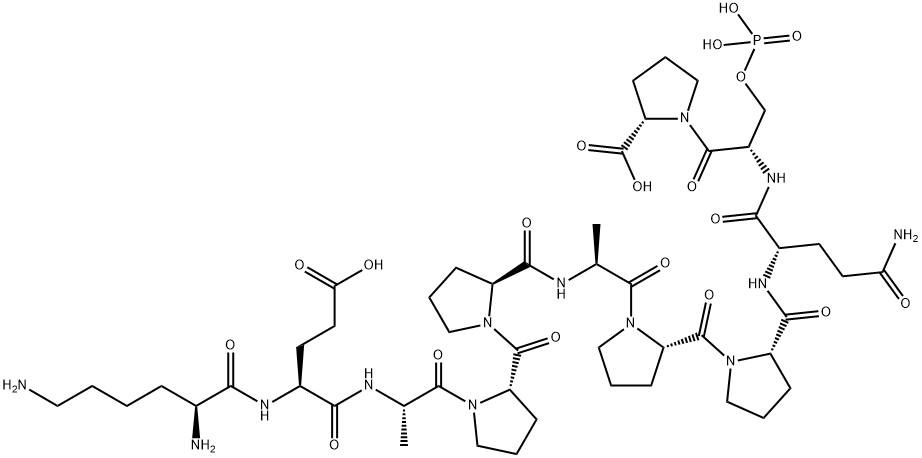 L803 Struktur