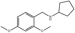 CYCLOPENTYL-(2,4-DIMETHOXY-BENZYL)-AMINE Struktur