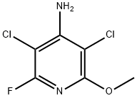 3,5-dichloro-2-fluoro-6-Methoxy-pyridin-4-aMine Struktur